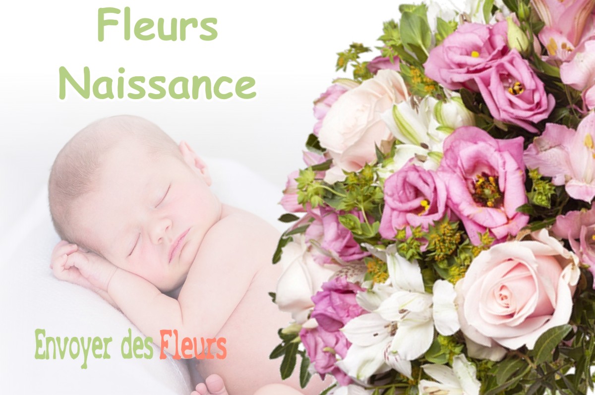 lIVRAISON FLEURS NAISSANCE à SEUZEY